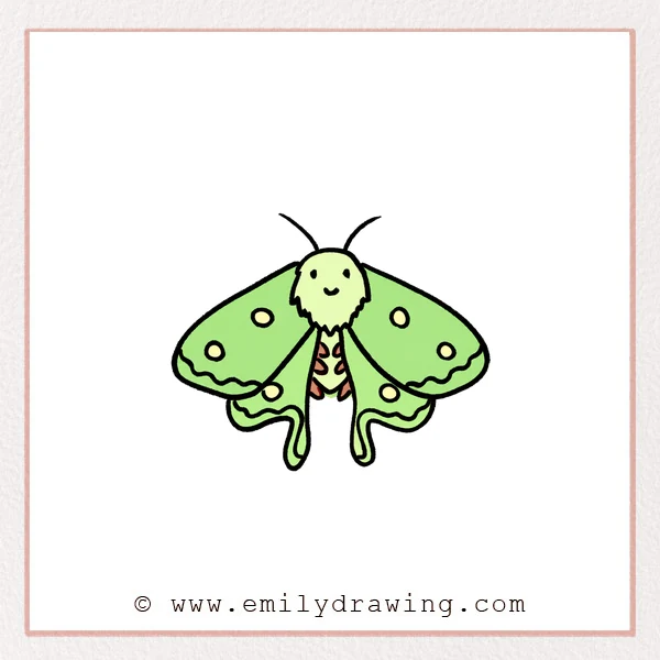 Preview of Luna Moth drawing